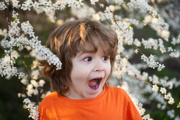 Nadšený kluk v kvetoucím stromě v jarním parku. Šťastný chlapec venku. Květinová zahrada. — Stock fotografie