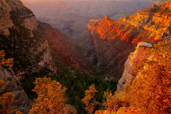 Cestovní památka USA. Národní park Grand Canyon. — Stock fotografie