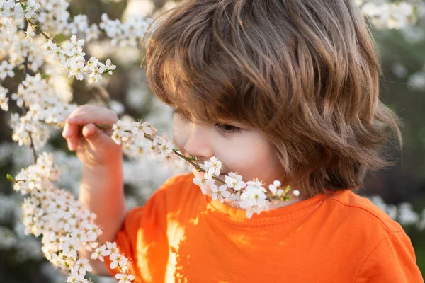 Wiosenny chłopiec w kwitnącym parku. Słodki dzieciak na świeżym powietrzu. Kwitnące drzewo w ogrodzie. — Zdjęcie stockowe