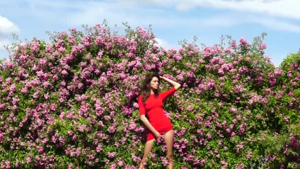 Jardín de rosas. Mujer de primavera en el parque de flores. Chica con arbusto de rosas. Naturaleza de verano. — Vídeo de stock