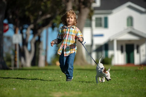 Assicurazione bambini. Ragazzino che corre con il cane, gioca proprietario e animale domestico nel prato estivo. Buon Cucciolo. Famiglia, genitorialità, concetto di infanzia. — Foto Stock