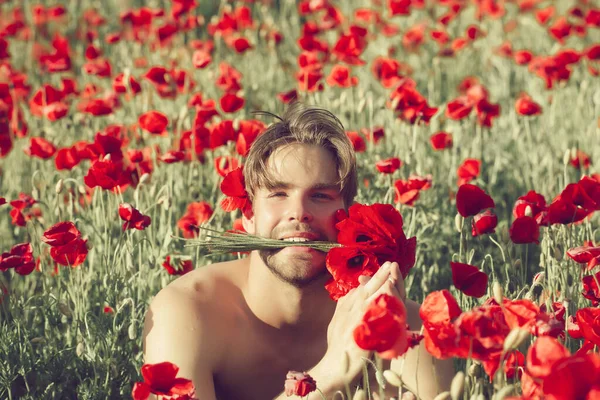 Sexy chico con cuerpo muscular mantenga ramo de flores en los dientes en el campo de semillas de amapola roja, drogas y amor intoxicación, opio, día de San Valentín. —  Fotos de Stock