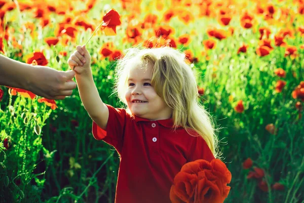 Забавна маленька дитина тримає квіти в квітучому літньому саду . — стокове фото