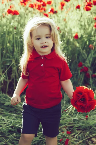 Cute little kid on poppy field in hot summer, happy child on the meadow with blonde hair hold bouquet, mothers day. — Stock Photo, Image