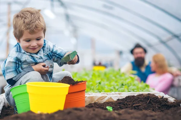 Ler barnjord och fyller krukor med jord. Baby leker med spade i växthus medan förälder. — Stockfoto