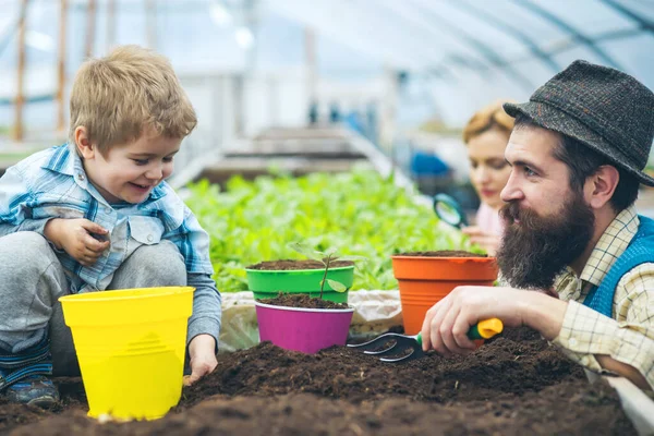 笑顔の子供は温室でパパと遊んでいます。父と子の植物。エコガーデニングのコンセプト. — ストック写真