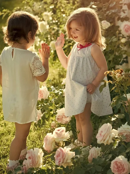 Twee meisjes baby bij bloeiende rozenbloemen. Kinderen spelen patty cake in de zomertuin op zonnige dag. Vrienden en vriendschap. Gelukkige kindertijd concept. Ontkiemen en bloeien. — Stockfoto