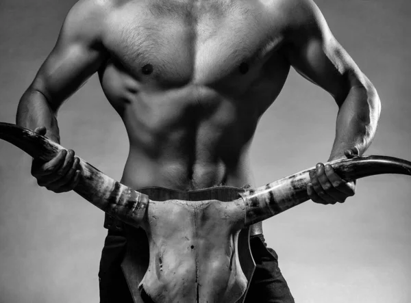 Чоловік з м'язистим тілом голий груди і торс позує в студії, тримаючи череп тварин з рогами . — стокове фото