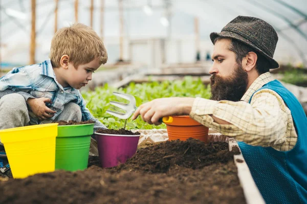 父は子供の息子が手フォークで花を植えるのを助けています。息子の園芸を教える男. — ストック写真