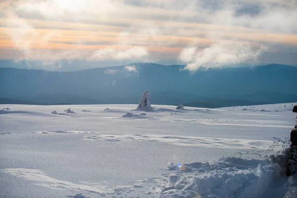 Vacaciones de invierno. Árboles cubiertos de nieve. Invierno nevado montañas paisaje. Invierno en bosque. —  Fotos de Stock