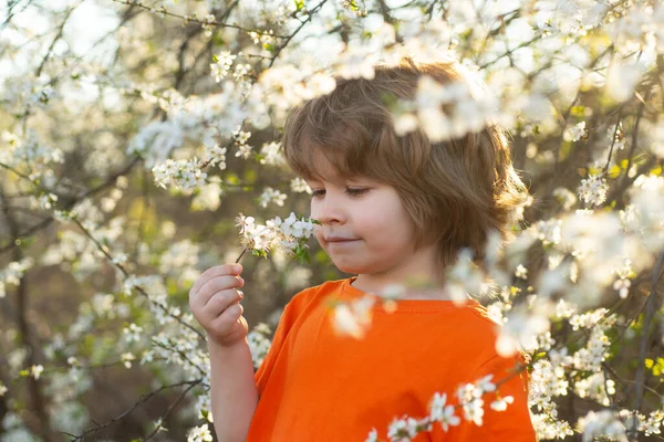 Cute spring boy in blooming park. Smiling kid outdoor. Blooming tree in garden. — Stock Photo, Image