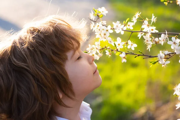 Criança da primavera com árvore florescente. Criança bonito no jardim da flor. — Fotografia de Stock