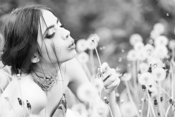 Jovem mulher soprar flor de dente de leão no fundo natural, beleza e moda, juventude e frescura. — Fotografia de Stock