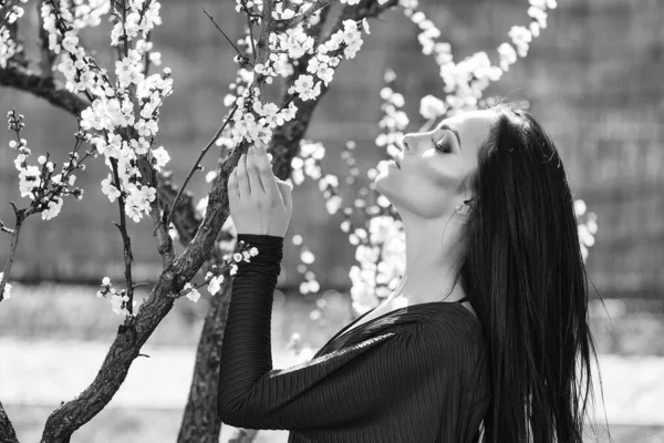 Mulher bonita no parque de flores. Característica sazonal, beleza e moda. Mulher bonita perto de damasco árvore florescendo — Fotografia de Stock