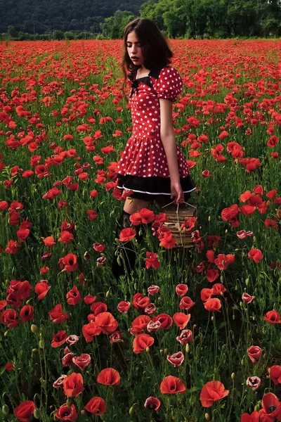 Woman with books, education, business, grammar. Poppy, Remembrance day, Anzac. Young woman with book in poppy flower field