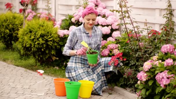 Prachtige bloemen in een tuin. Vrouw planten hortensia in de tuin. — Stockvideo