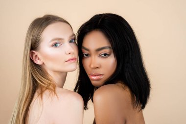 Irklar arası arkadaşlık çok ırklı lezbiyen kavramı. Mutlu karışık ulus kadın arkadaşlığı. Çok ırklı kadın çift hoşgörüsü.