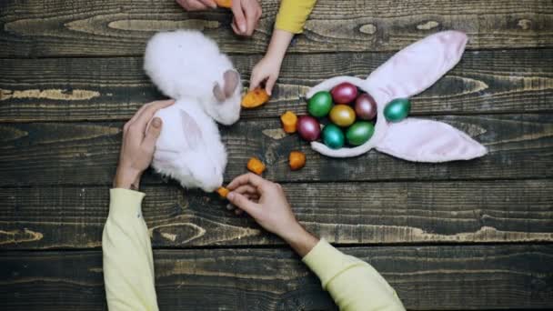 Pascua familia jugar con conejo mascota conejo. Cazando huevos. Padres y niños preparándose para Pascua. — Vídeos de Stock