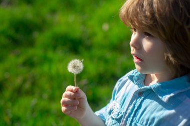Yaya çocuk elinde karahindiba ve çimen arka planda.
