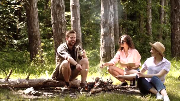 Zomer kamperen. Bedrijf picknickt in het bos. Vrienden roosteren marshmallows op stokken bij het kampvuur en plezier hebben bij het kampvuur. — Stockvideo