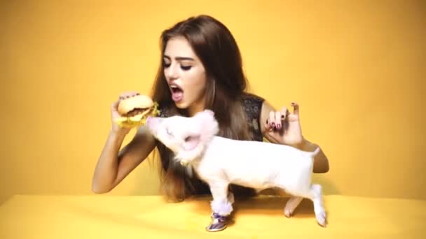 Conceito vegano. Rapariga e porco com hambúrguer. Vegetariano. Amizade com animais. — Vídeo de Stock