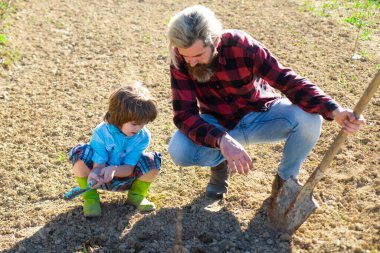 Aile ağacı dikiyoruz. Oğlu babasına yardım ediyor. Baba ve çocuk bahçede bahçıvanlık yapıyor. Büyüyen bitki.
