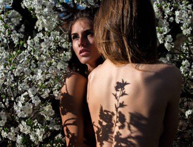 İlkbahar doğal güzellik. Çiçekli kiraz parkındaki çiçek açan lezbiyen çift. Çiçekli güzel seksi kız arkadaşlar..