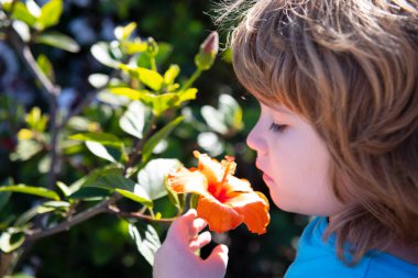Bahar alerjisi olmayan çocuk çiçek açan ağacı kokluyor. Çiçek açan bahçedeki ya da bahçedeki sevimli çocuk..