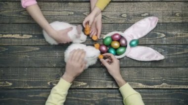 Paskalya tavşanı. Tatil konsepti. Renkli yumurtalı tavşan. Aile elleri hayvanlarla oynar..