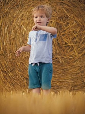 Küçük çocuk hasat zamanı arka planda saman balyasıyla çiftlikte duruyor..