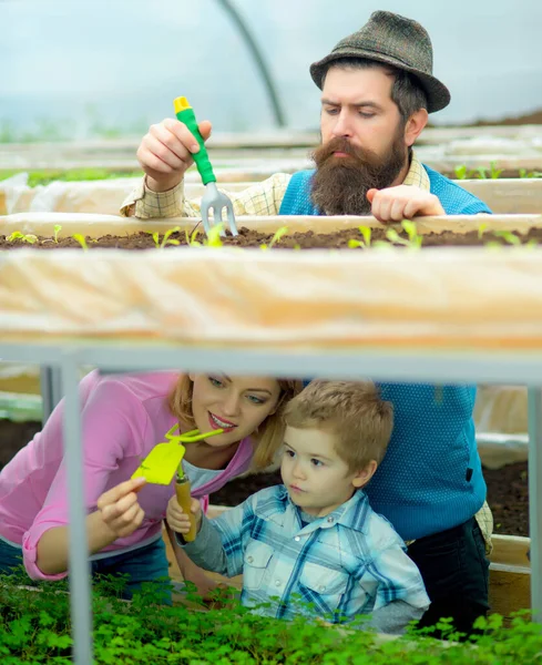 Greenhouse family. Green house structure factory, Happy people in Garden Greenhouses.
