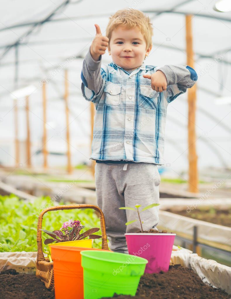Kid child in Greenhouse. Garden Green houses and Garden Greenhouse family Kits.