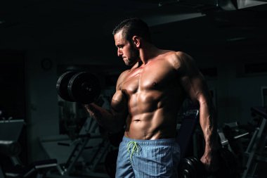 Vücut geliştirici, spor salonunda dambıl egzersizleri yapıyor. Gövdesiz sporcu. Sportif egzersiz. Atletik vücut.