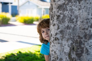 Çocuk saklambaç oynuyor. Ce-ee. Küçük çocuk ağacın arkasına saklandı..