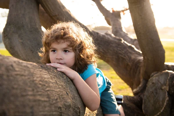 Cute caucasian kid boy happily lying in a tree hugging a big branch. Child climbing a tree. — Stock Photo, Image