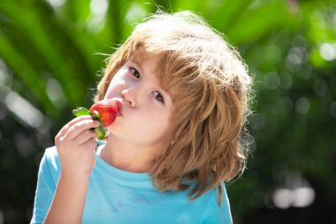 Organik beslenme. Sevimli neşeli çocuk yeşil yaz arka planında çilek yiyor. Okul çocuğu sağlıklı yiyecekler yiyor. Mutlu çocukluk kavramı. Mutlu yüzlü çocukları kapatın..