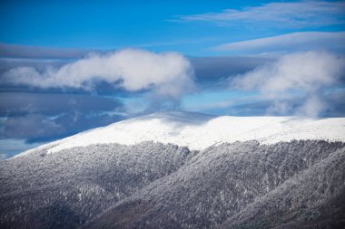 Kar manzarası, Karlı dağlar. Karla kaplı ağaçlarla kaplı güzel bir kış manzarası. Ormanda kış