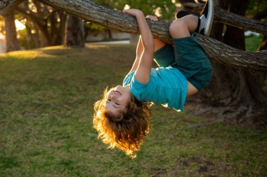 Komik dağcı çocuk. Çocuk yaz parkında yüksek ağaca tırmanıyor..