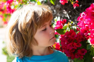 Kaygısız şirin çocuk. Parktaki bahçıvan. Çocukların çiçek alerjisi. Dışarıda çiçek kokusu alan küçük bir çocuk. Çiçek koklayan çocuk.