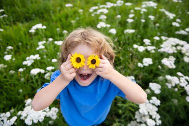 Komik Çocuk ve Papatyalar. Çiçekli, mutlu, sarı saçlı çocuk. Gözleri papatya çiçeğiyle çimlerin üzerinde uzanıyor. Papatya gözlü çocuk, yeşil çimlerin üzerinde yaz parkında.