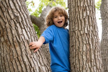 Aktif çocuk yaz parkında oynuyor ve ağaca tırmanıyor..