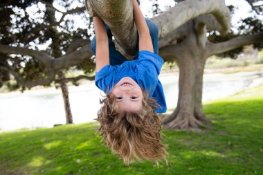 Ağaç dalında küçük bir çocuk. Tırmanıp asılan çocuk. Ağaçların arasına park etmiş güzel bir çocuğun portresi. Ekstrem çocuk sporu. Çocuk ağaca tırmanır.