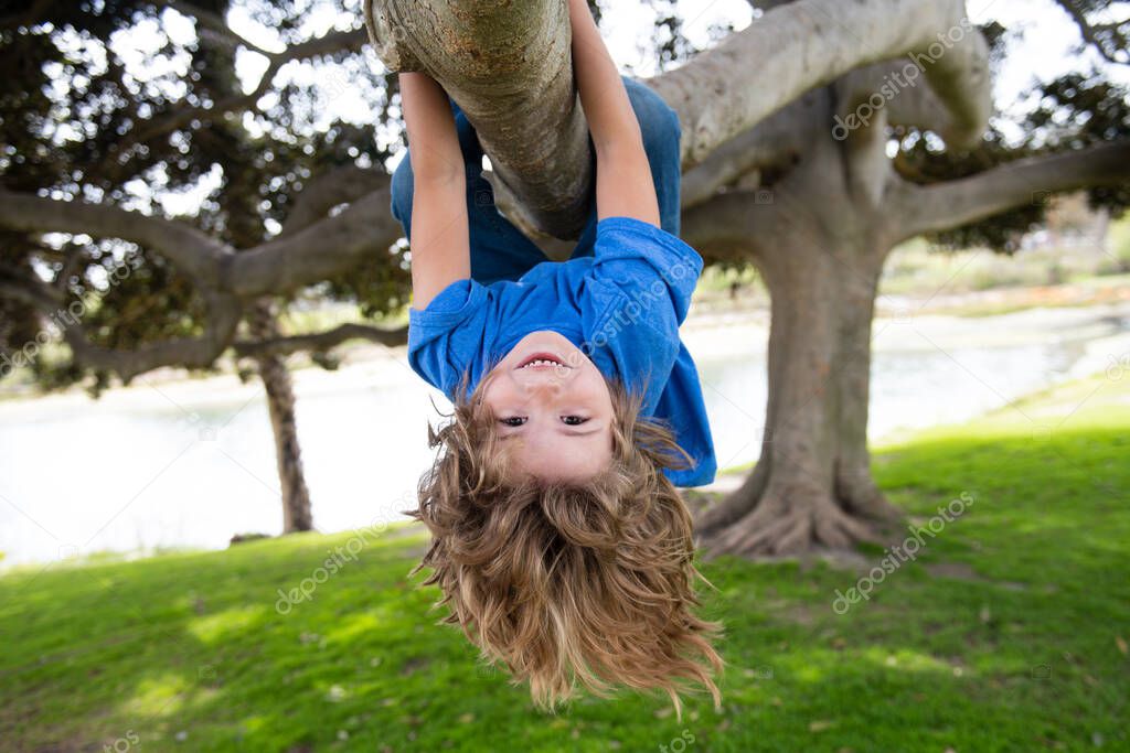 Little kid boy on a tree branch. Climbing and hanging child. Portrait of a beautiful kid in park among trees. Extreme kid sport. Child climbs a tree