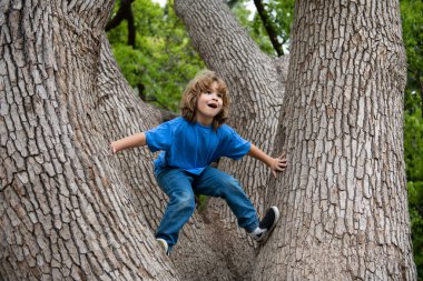 Küçük çocuk bir ağaca tırmanmaya çalışıyor..