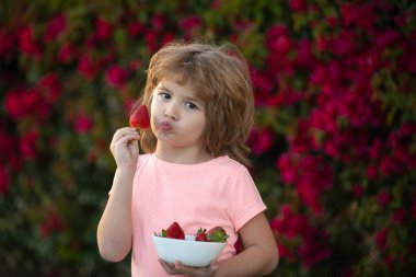 Komik suratlı çocuklar. Tatlı çocuk çilek yiyor..