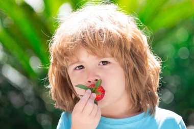 Yeşil bahar arka planında çilek yiyen çocuk.