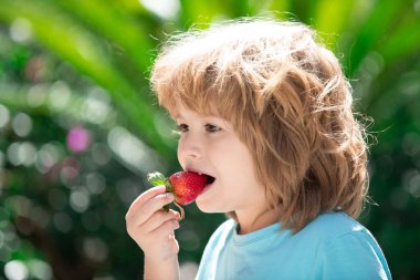 Organik beslenme. Yeşil bahar arka planında çilekli, sevimli, mutlu bir erkek bebek. Mutlu yüzlü çocukları kapatın..