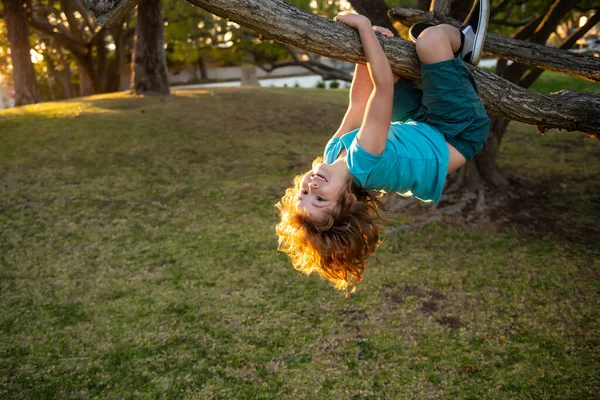 Szczęśliwy dzieciak cieszący się letnim dniem w ogrodzie. Słodkie dziecko wspinające się na drzewo. — Zdjęcie stockowe