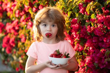 Doğada çilek yiyen küçük bir çocuk. Çocuk lezzetli bir böğürtlenin tadını çıkarıyor.