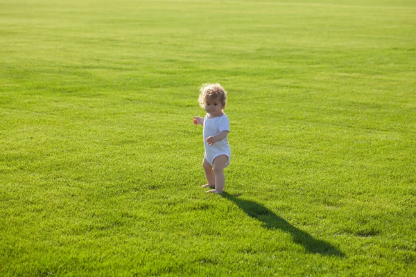 Leuke grappige baby jongen leren kruipen stap, plezier hebben spelen op het gazon in de tuin. — Stockfoto